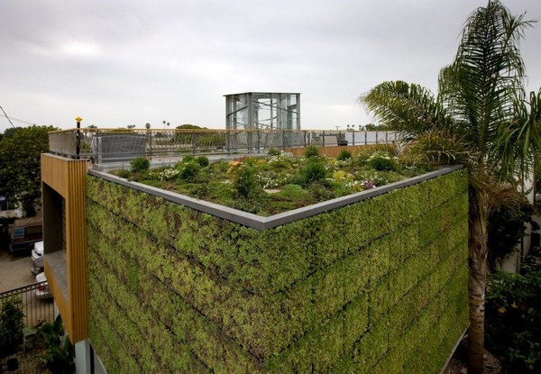 Brooks Avenue Residence (6)