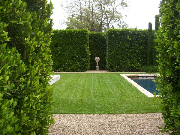 Boxwood Green