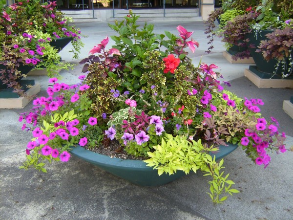 Floral Container