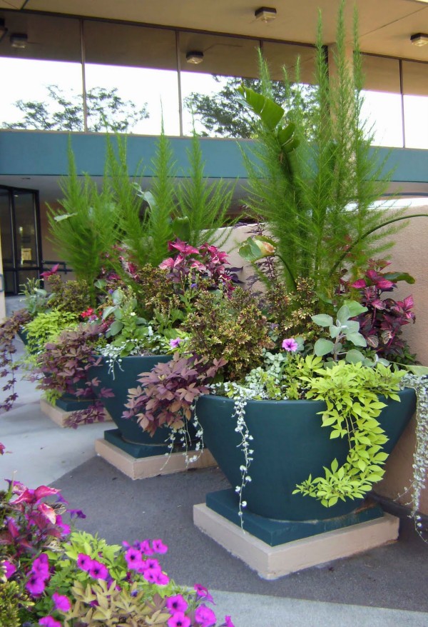 Flowers in a Container