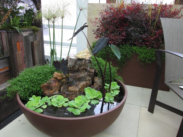 Indoor Container Gardening