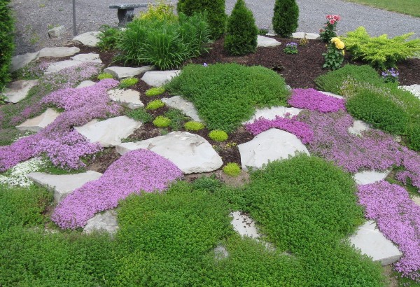 Rock Garden