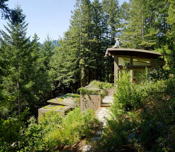 Mill-Valley-Cabins–Feldman-Architecture-(7)