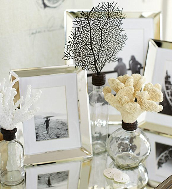 collection of seashell glass bottles and picture frames