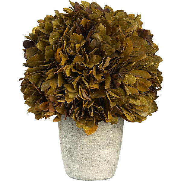 A preserved autumn topiary