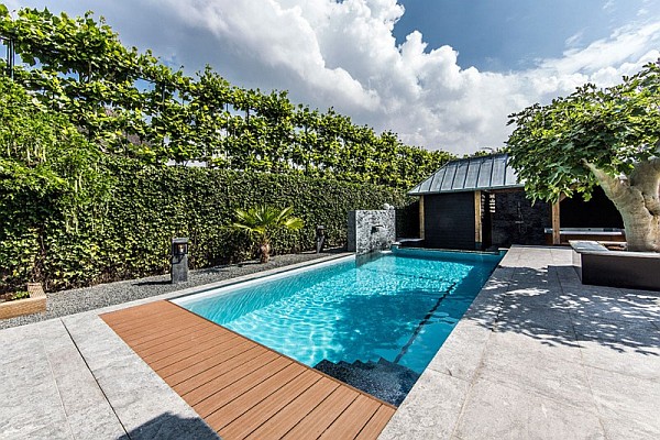 stunning backyard pool