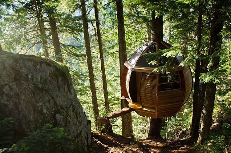 HemLoft cabin with a beuatiful walkway