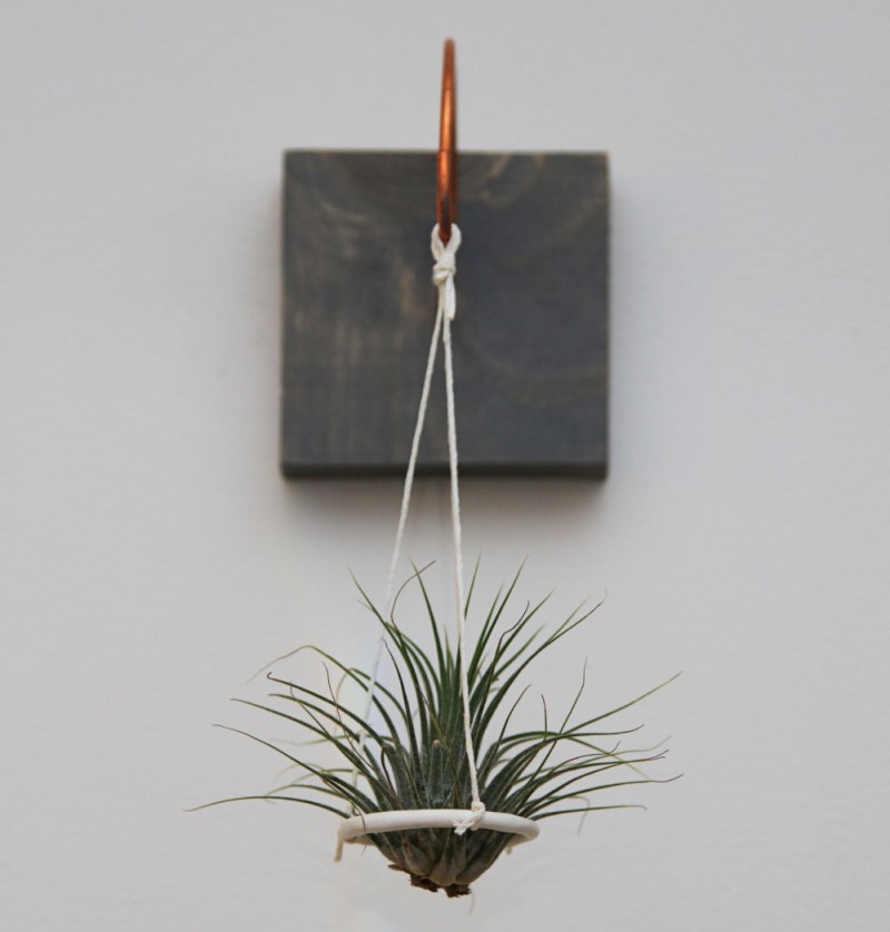 Modern suspended air plant holder from Etsy shop Gems of the Soil