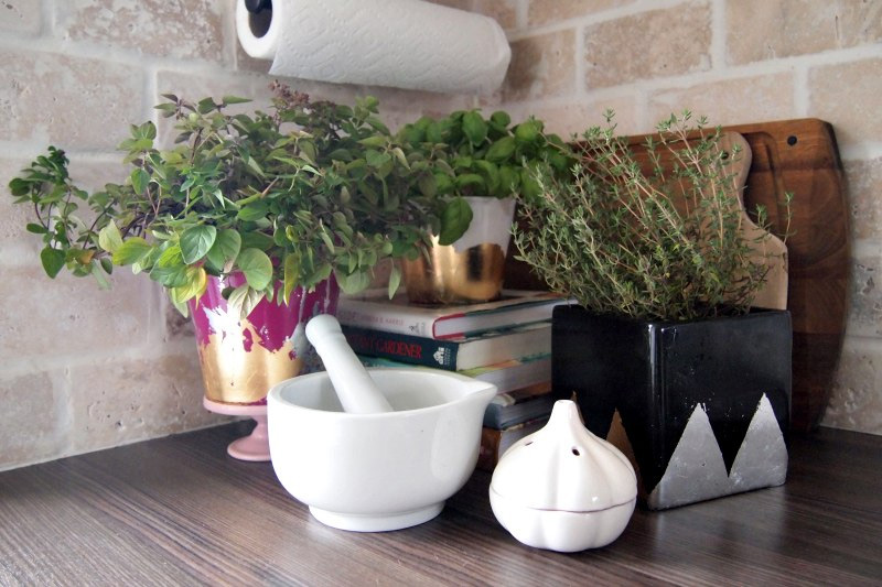 DIY Gold Planters