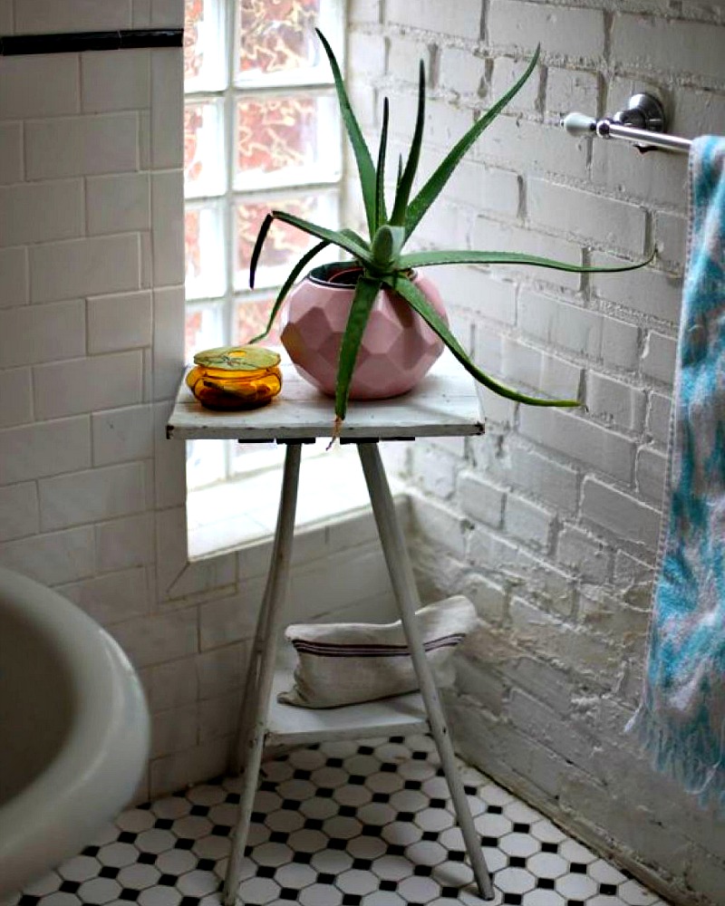 Aloe Vera Simple