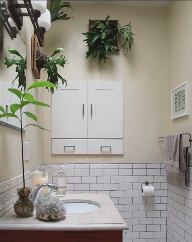 Elkhorn Fern Bathroom