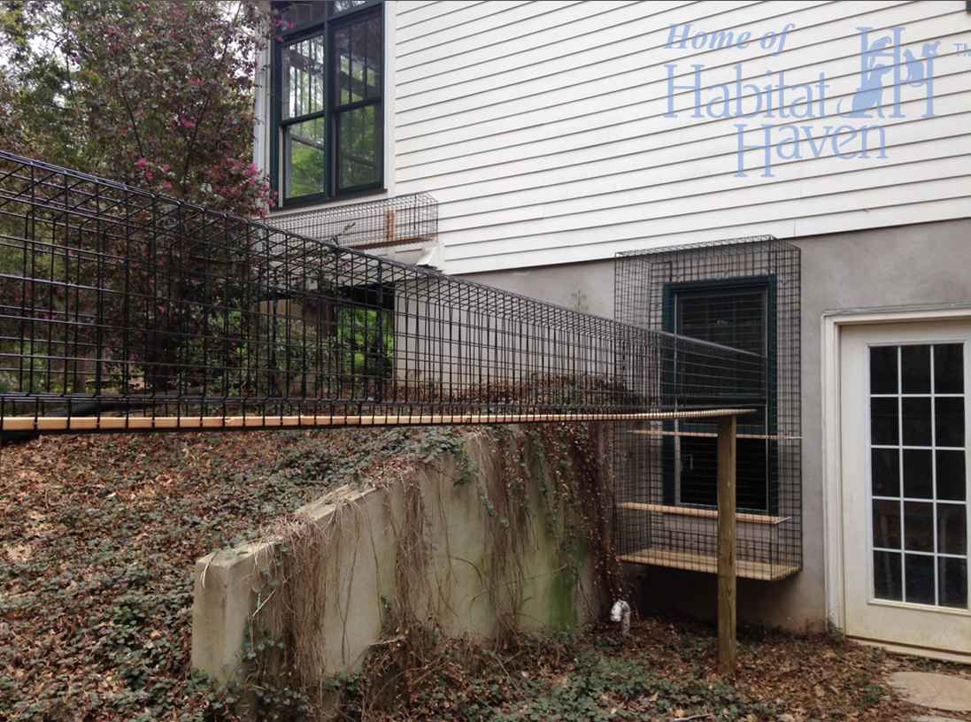 Outdoor enclosed cat walkway