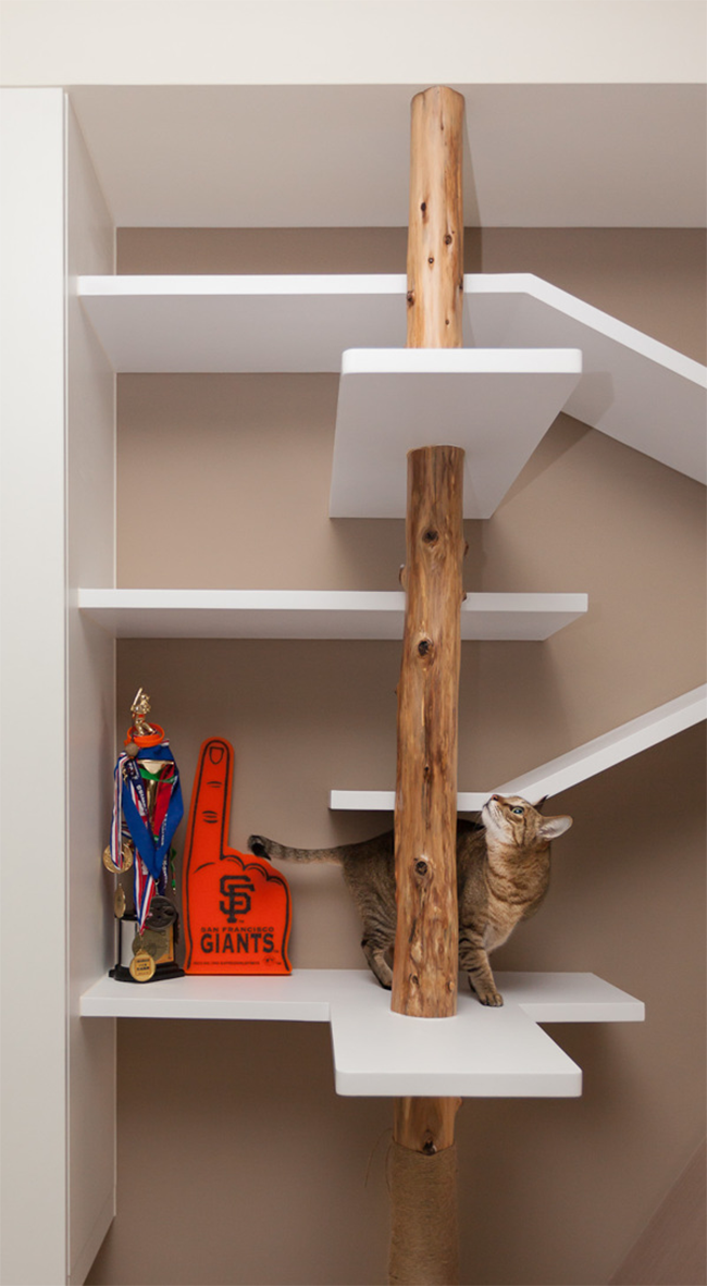 Taiwanese apartment with climbing shelves for cat