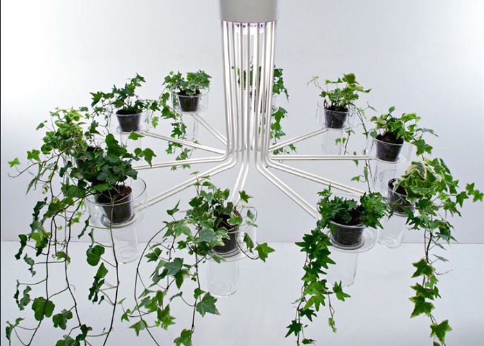 This setup would also look fantastic with ferns instead of ivy
