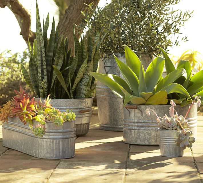 With a collection of planters, vary heights and shapes of plants