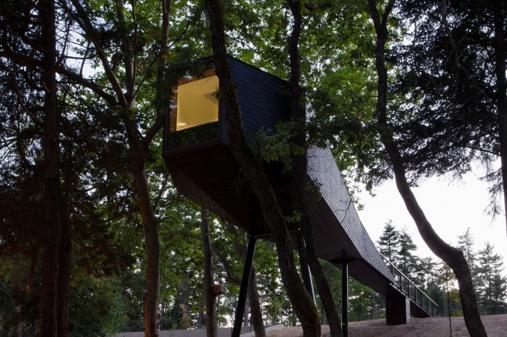 Tree Snake Houses II