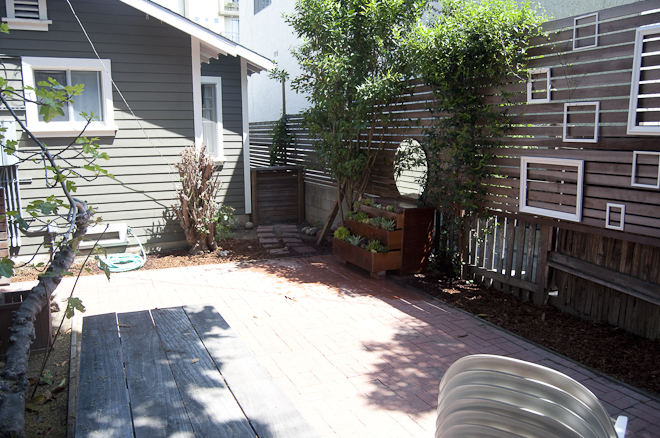 herb garden 13
