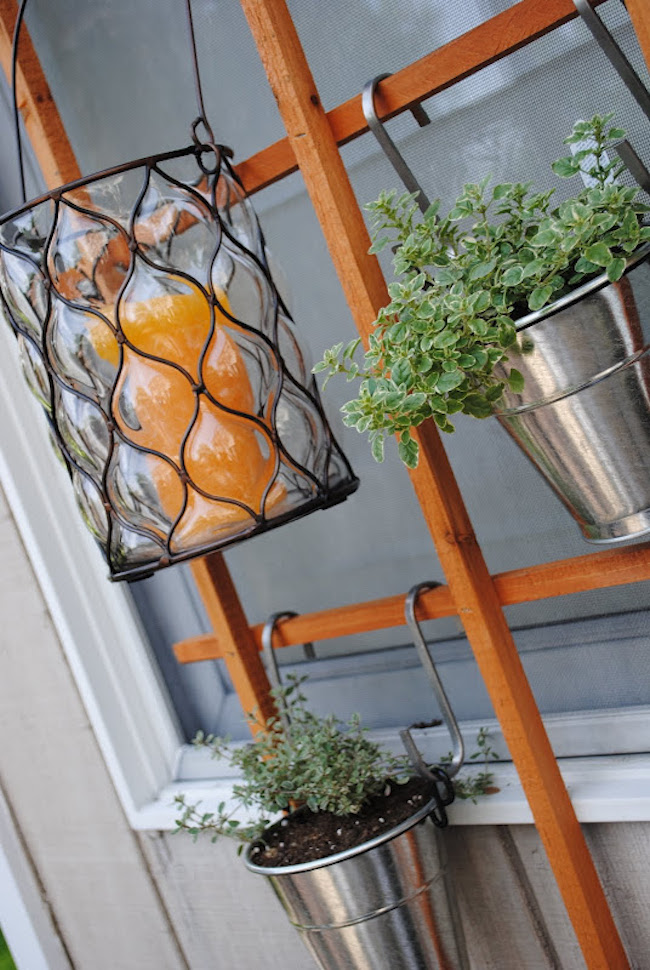 herb garden 2