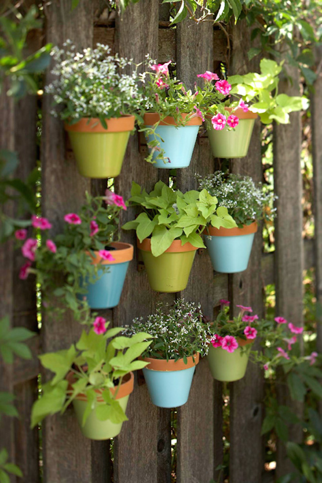 herb garden 3