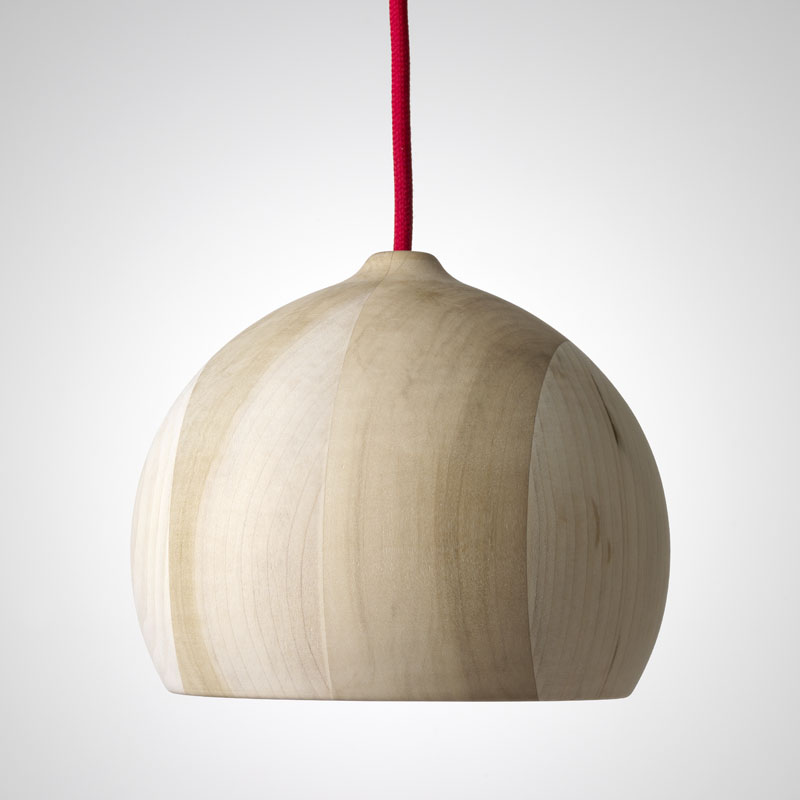 Acorn in tulipwood