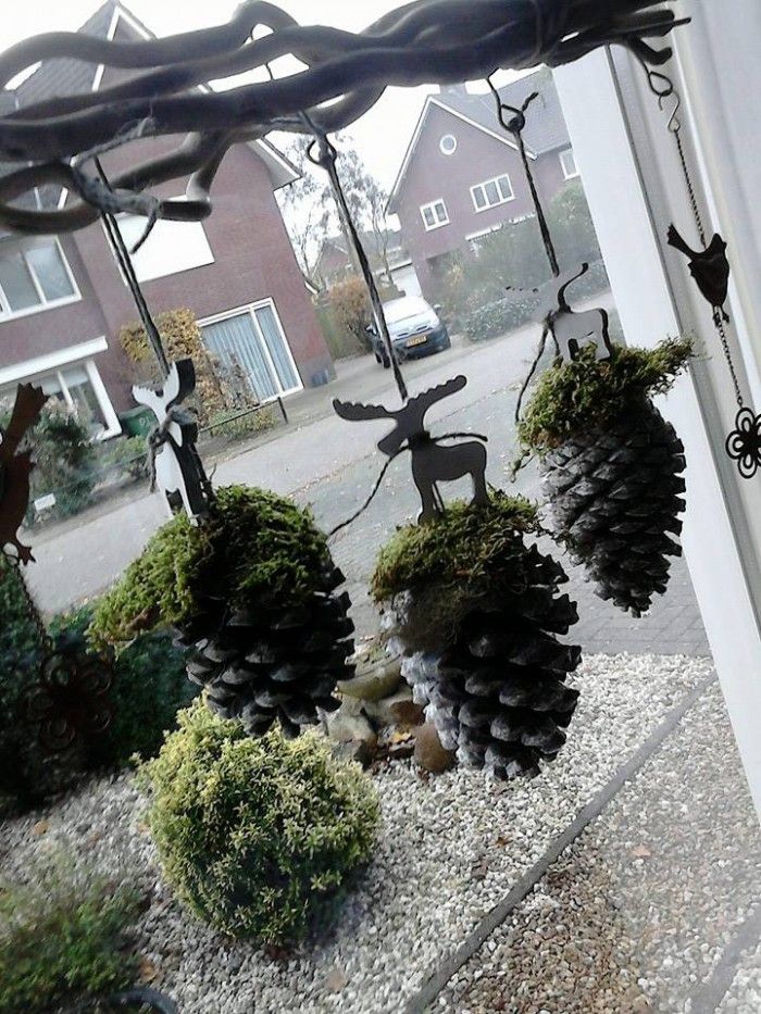 Pinecones with moss and reindeer figurines hung in window