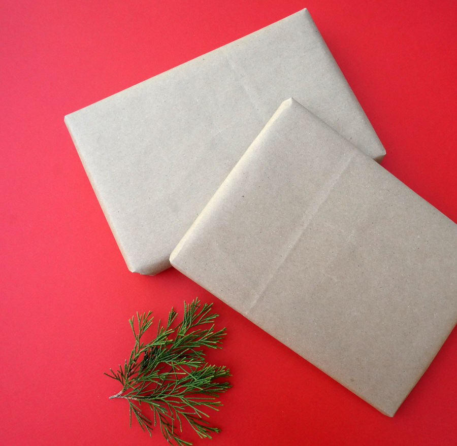 Shopping bags make great gift wrap