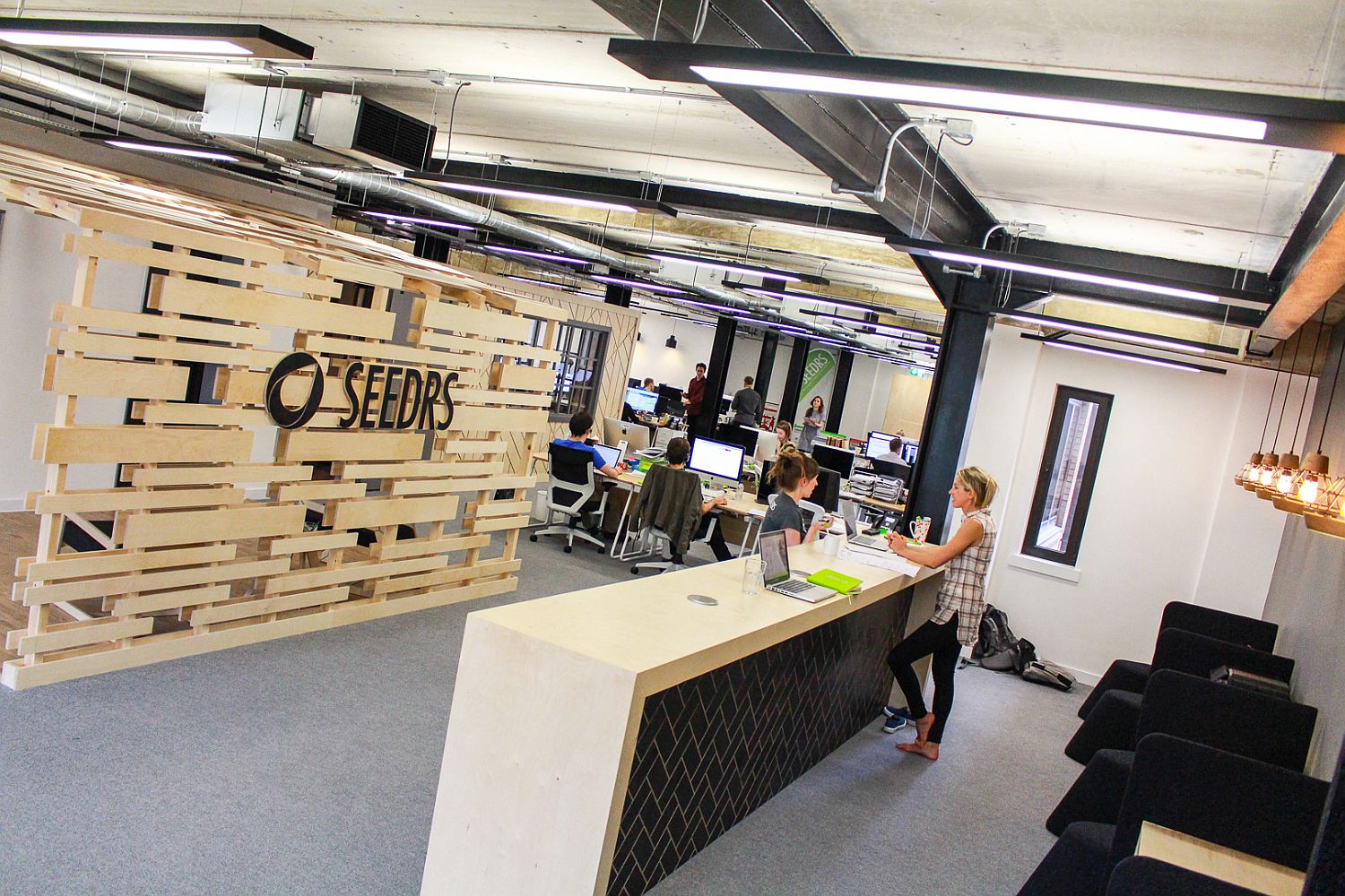 Birch Ply canopy greets you at the reception area of Seedrs