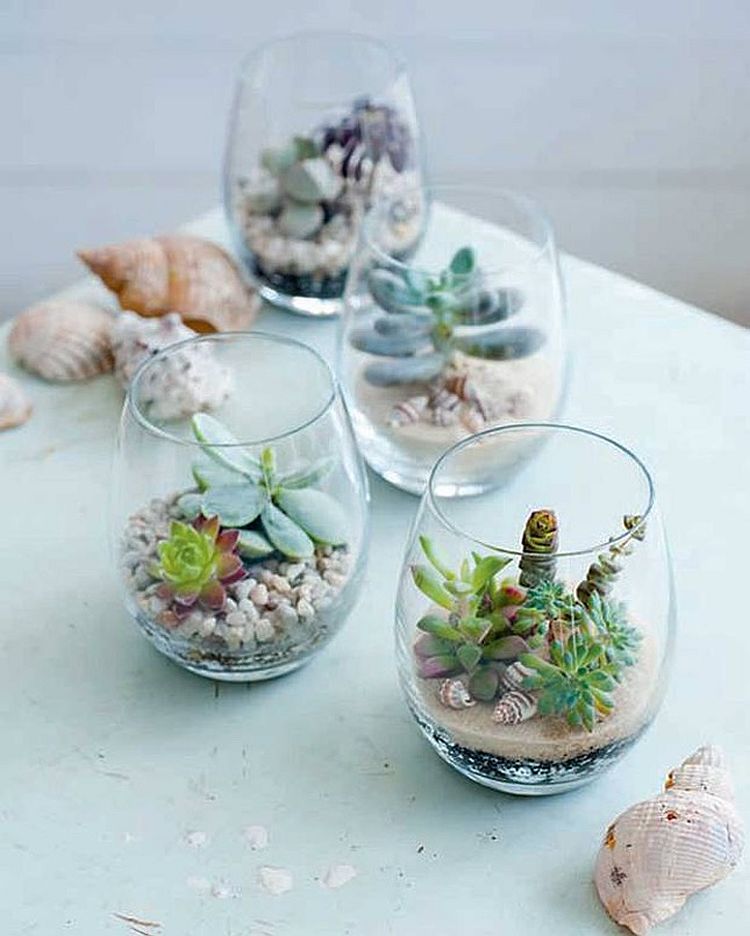 Coastal chic DIY terrarium idea