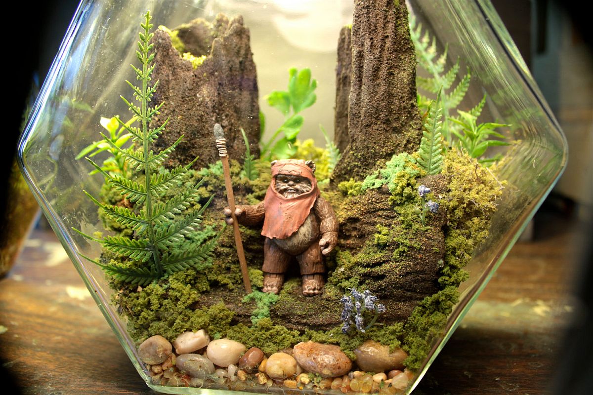 DIY Star Wars Terrarium