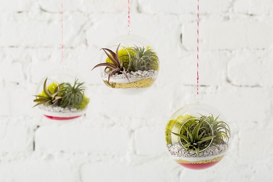 DIY sand art terrarium