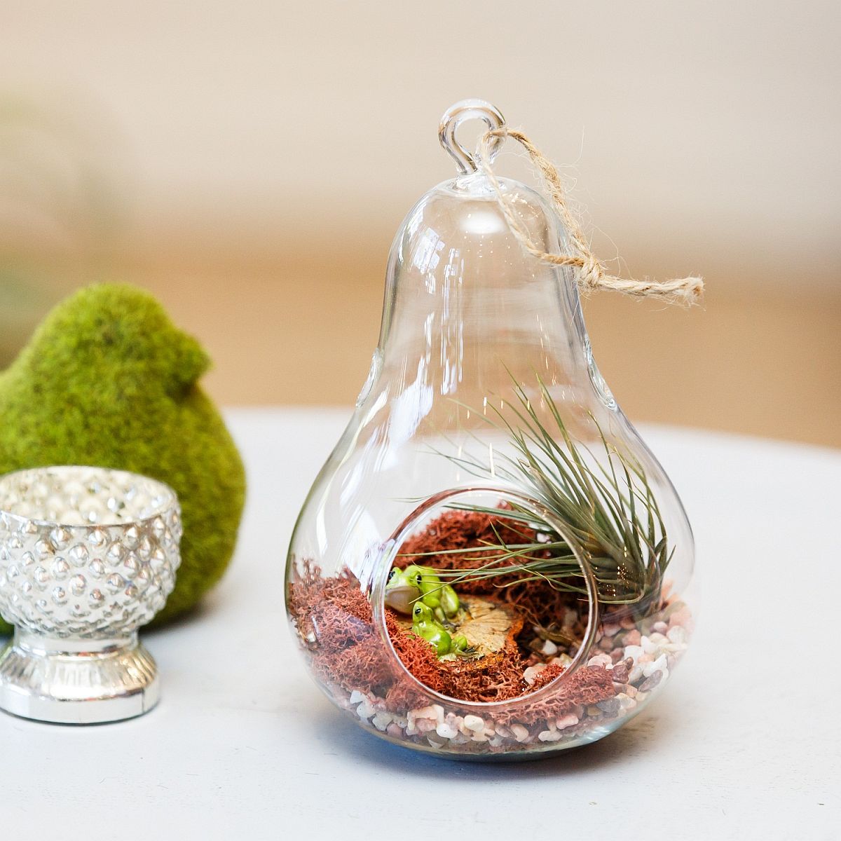 Simple and elegant glass terrarium