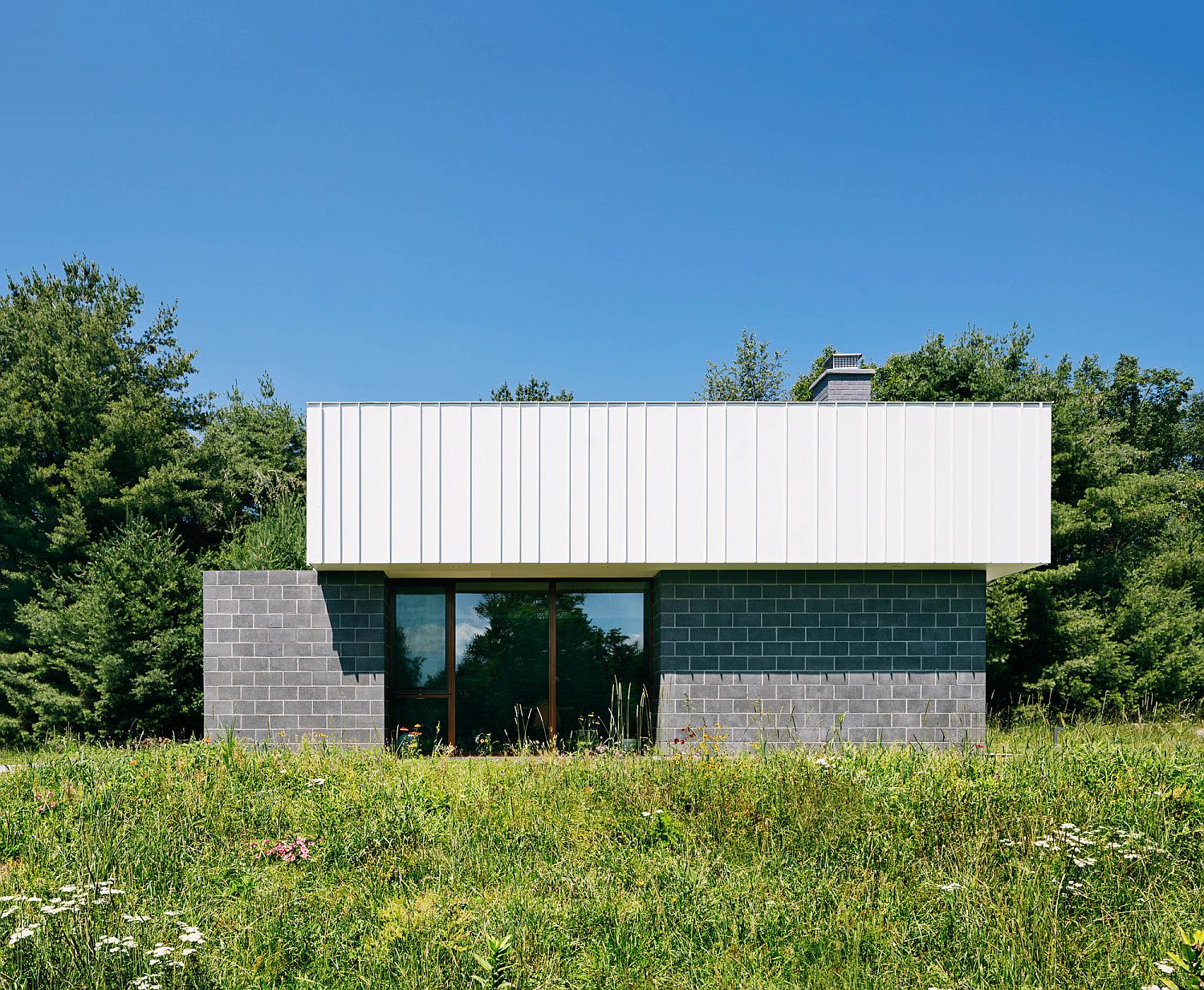 Lush green landscape around the contemporary Catskills House
