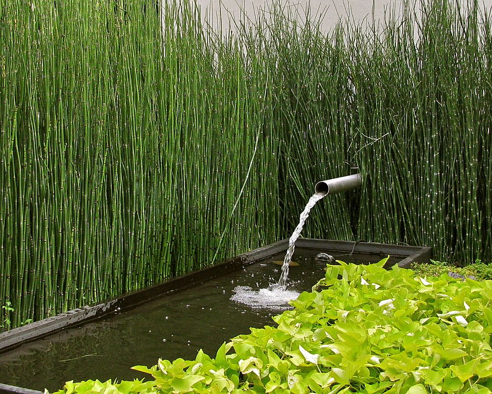 Modest water features work well in urban landscape
