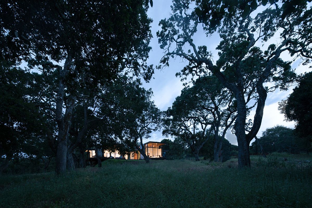 Forty one oak trees sit on the lot in Portola Valley