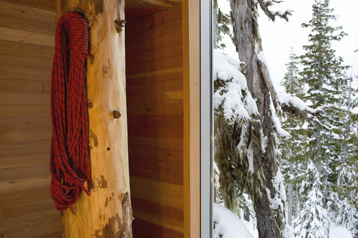 Closer look at the douglas fir columns inside the cabin