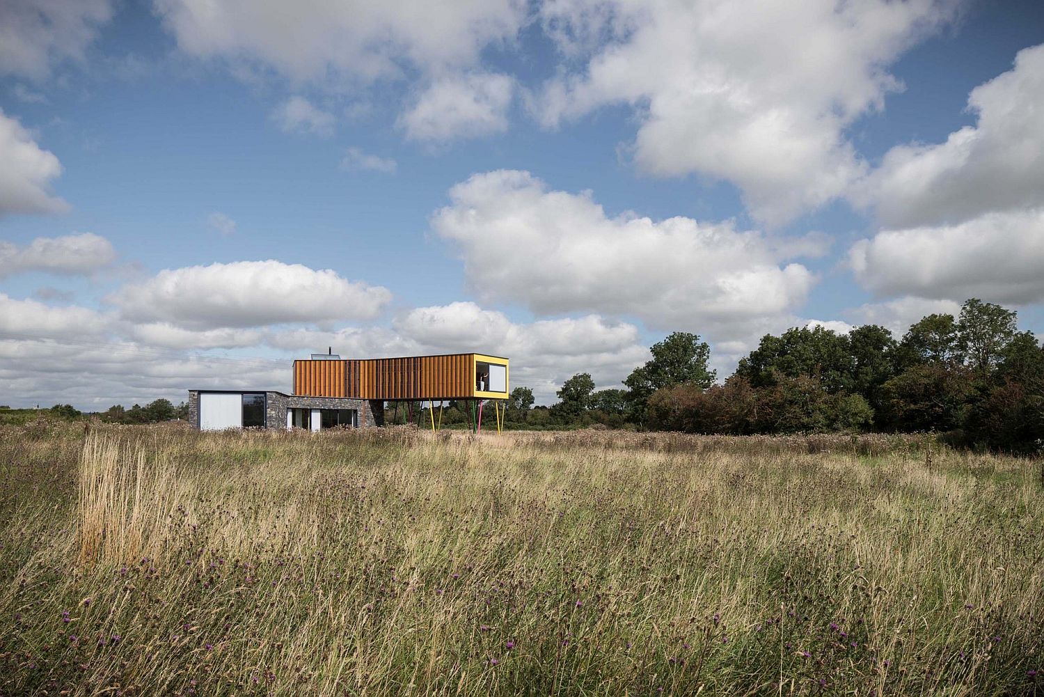 Lovely meadow landscape around the house