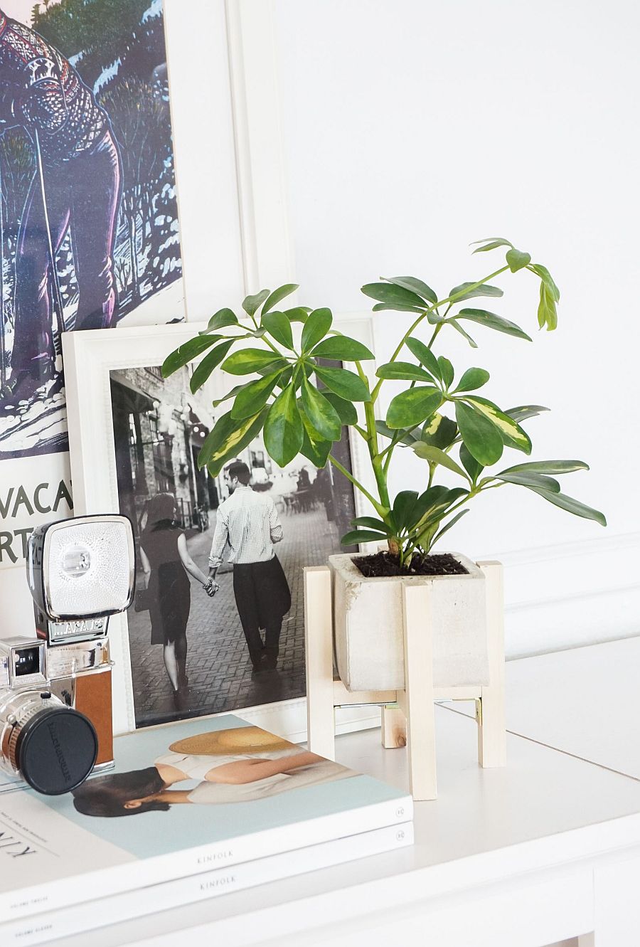 DIY Concrete Planters: Fabulous Projects that Bring Greenery Indoors