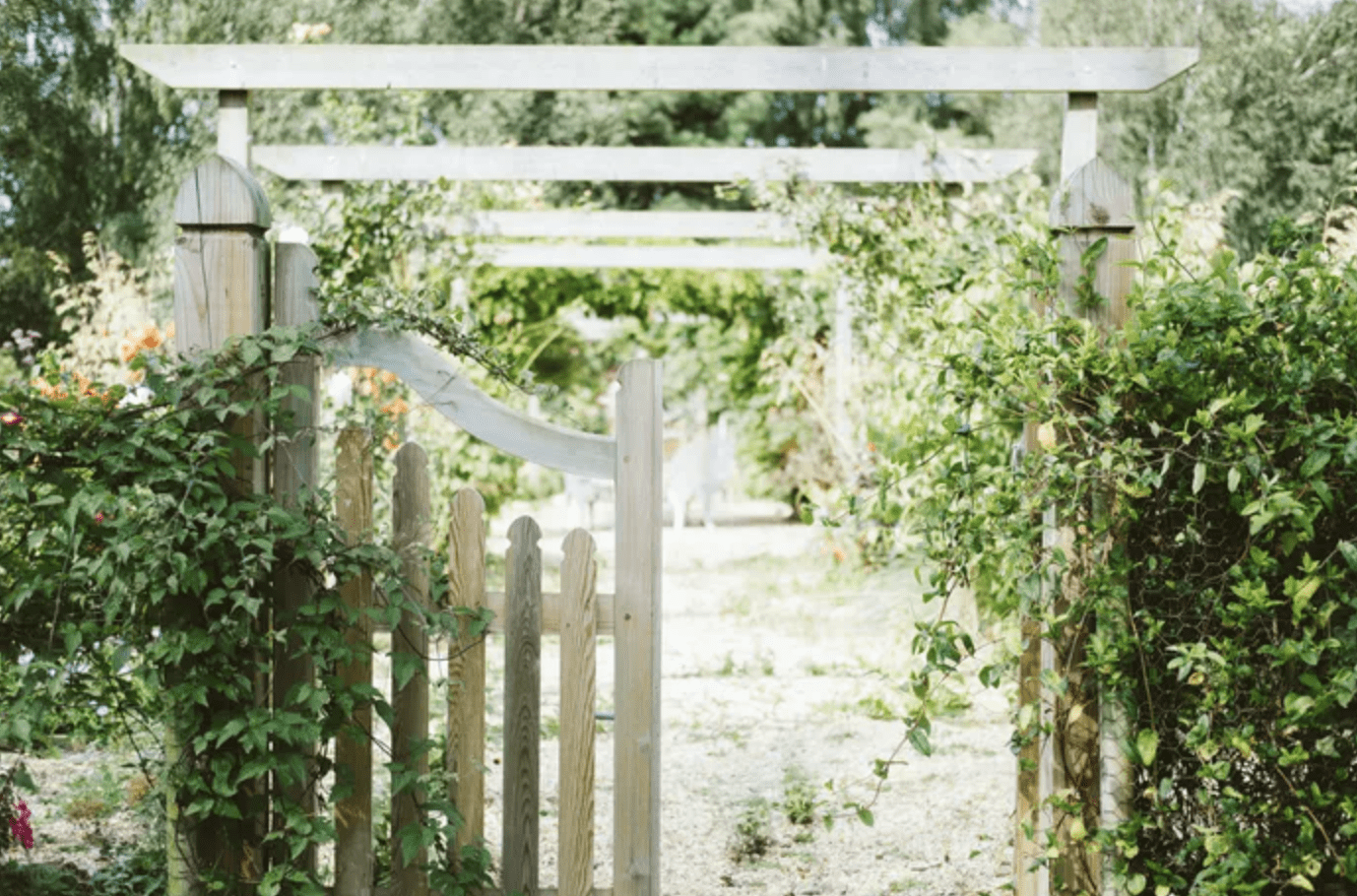 old english style wooden gate leading into a vine covered garden